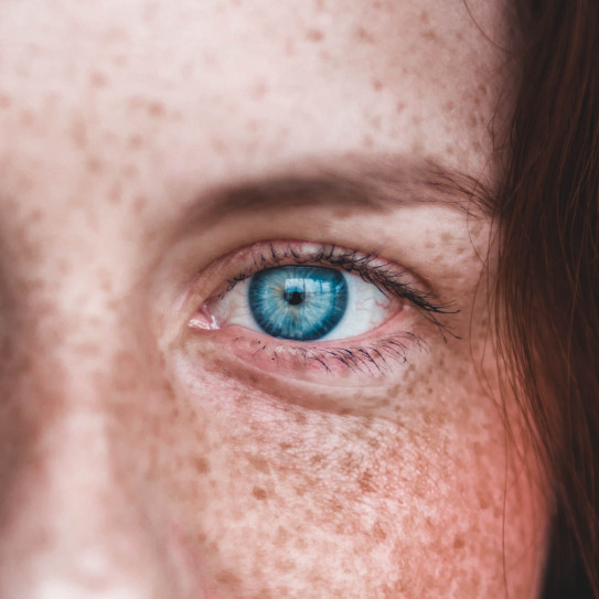 A human blue eye of a woman with freckles