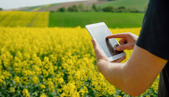 Agriculteur gérant les émissions de carbone dans son champs de colza sur sa tablette grâce à l'intelligence artificielle