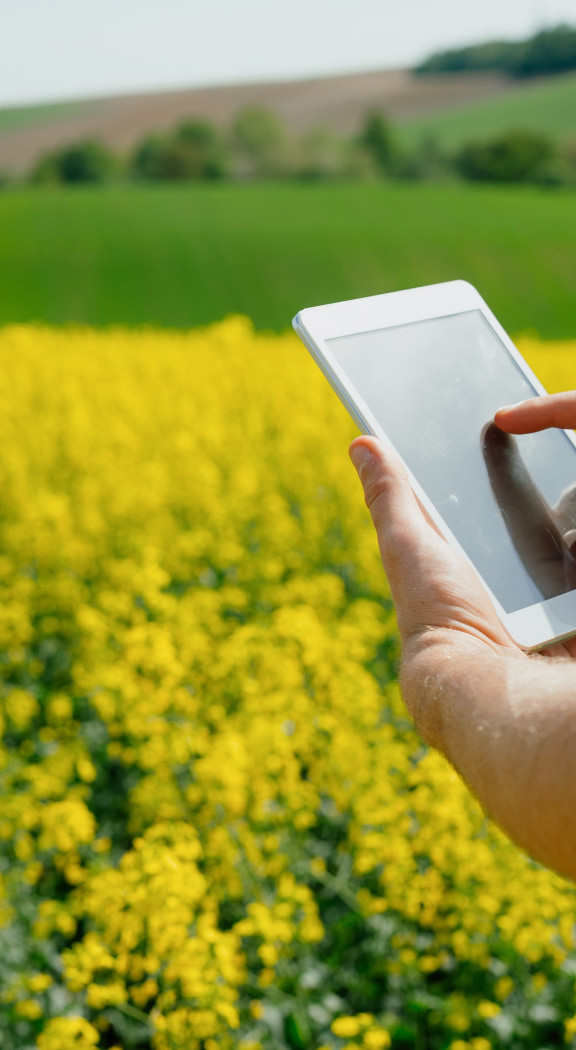 Agriculteur gérant les émissions de carbone dans son champs de colza sur sa tablette grâce à l'intelligence artificielle