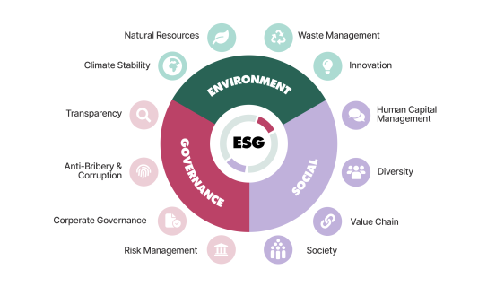 A diagram concerning the ESG reporting can be seen. ESG stands for environment, social and governance.